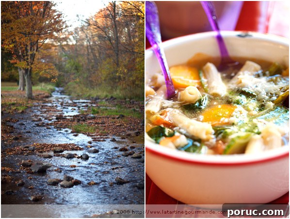 Comforting Soup Recipes for Nourishing Meals 7 img 7275 10