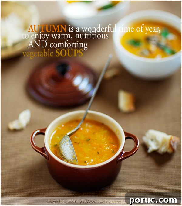 Comforting Soup Recipes for Nourishing Meals 4 img 7275 6