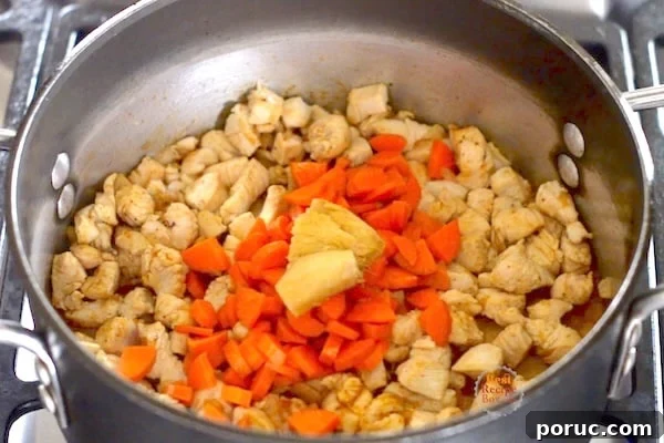 Carrots and ginger added to pot