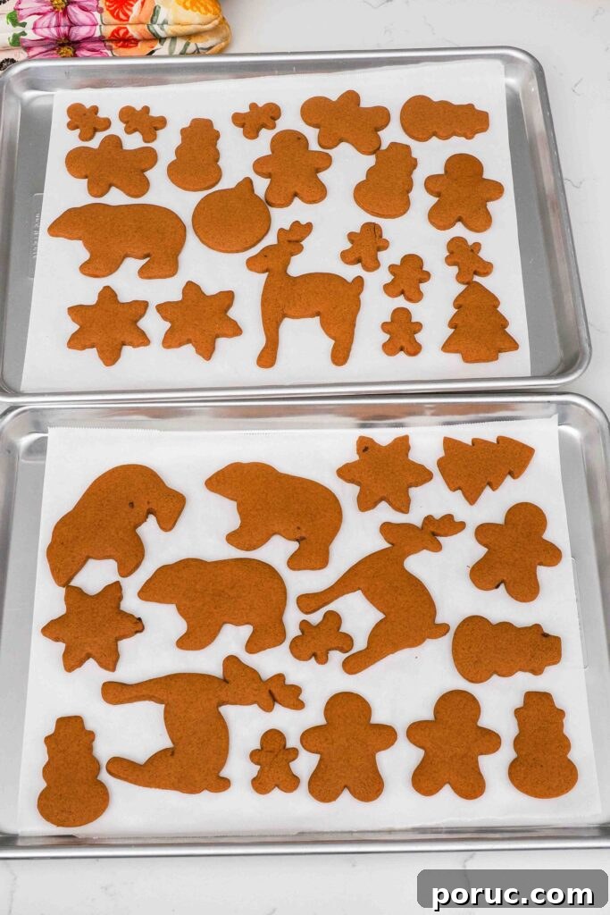 Classic Gingerbread Cookies Recipe for Crisp, Spiced Treats 11 Baked gingerbread cookies on two lined baking sheets.