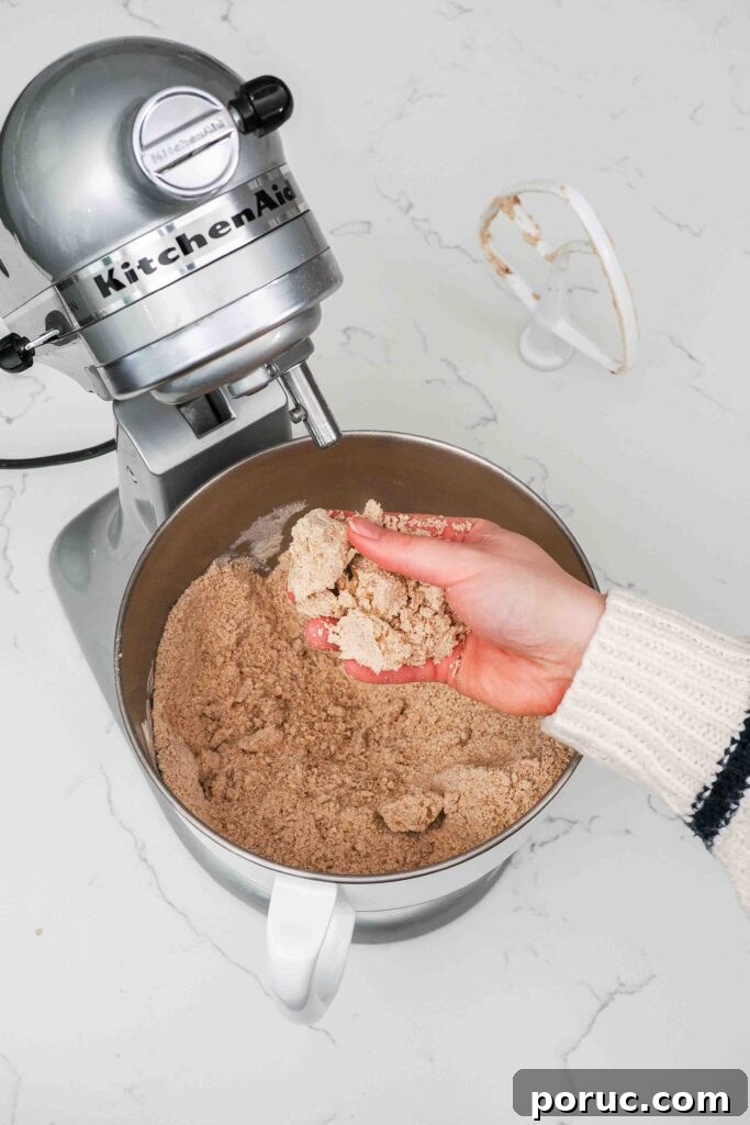 Classic Gingerbread Cookies Recipe for Crisp, Spiced Treats 5 Dry ingredients for gingerbread mixed with butter until crumbly in a mixer bowl.