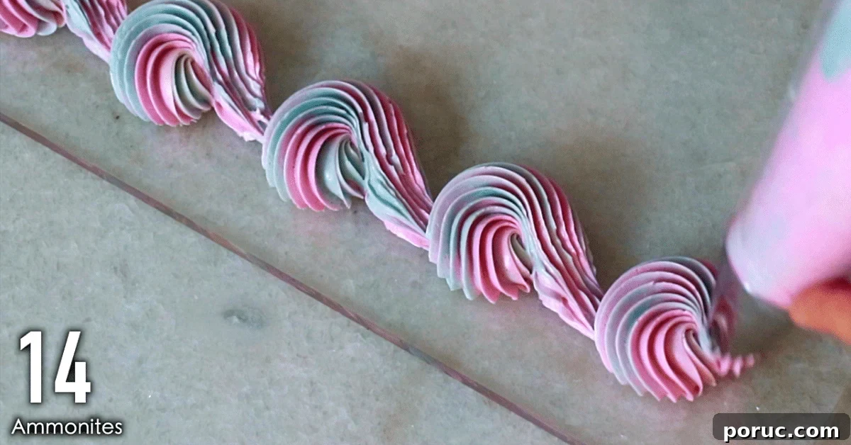 multi-color buttercream piping: Ammonites