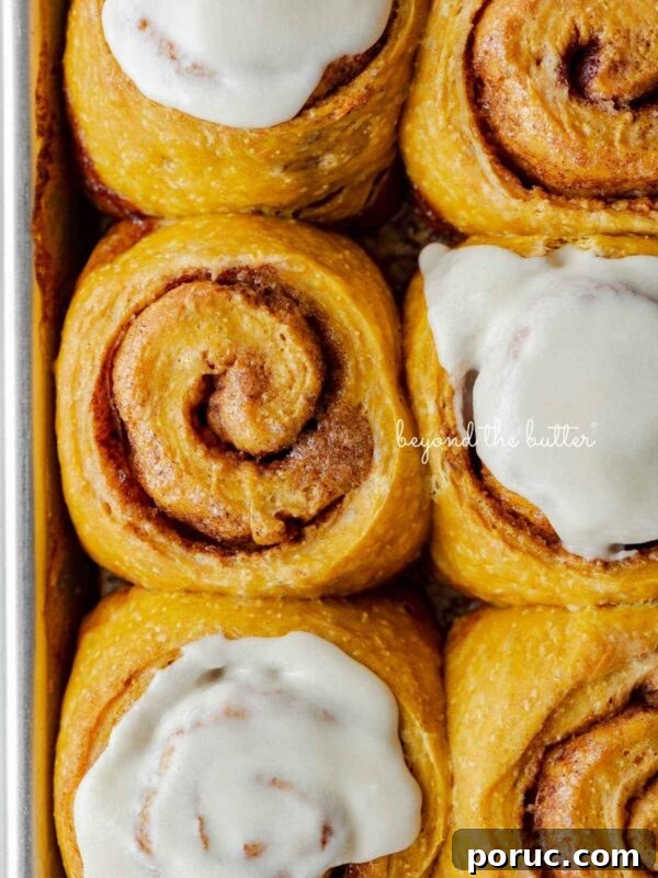 Six pumpkin cinnamon rolls with three topped with maple frosting placed on a small baking sheet.