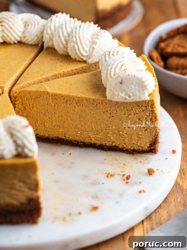 Sliced pumpkin cheesecake topped with piped whipped cream on a white marbled cake plate on a dark wood background.
