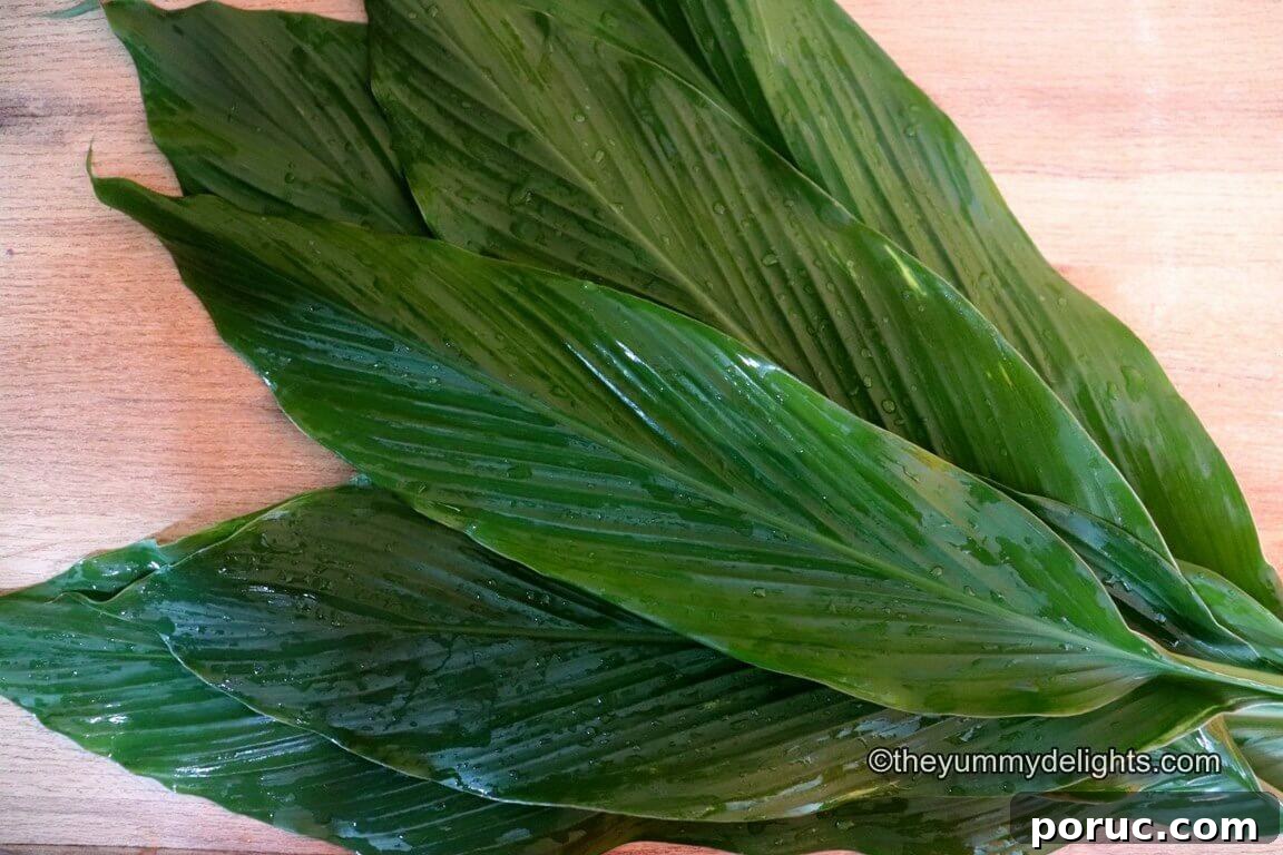 Konkani Patoleo (Patoli) Recipe: Steamed Rice Leaves Dessert 12 image of turmeric leaves for making patoli.