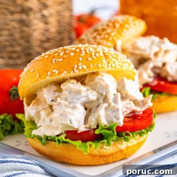Quick Rotisserie Chicken Salad with Creamy Lemon Dijon Dressing 8 img 8774 9