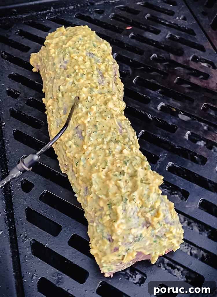 Herb-Crusted Grilled Beef Tenderloin Recipe 7 leave-in thermometer inserted into meat on the grill