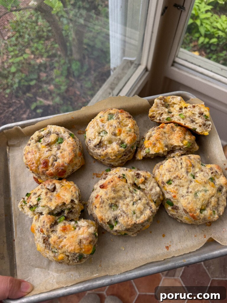 High-Protein Sausage and Cheese Biscuit Recipe for Meal Prep 2 img 9202 1