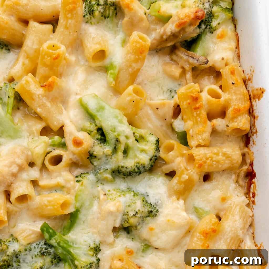 Close up of baked pasta and cheese with broccoli in a white casserole dish.