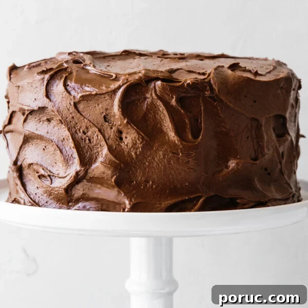 Paleo chocolate cake on a white cake stand.