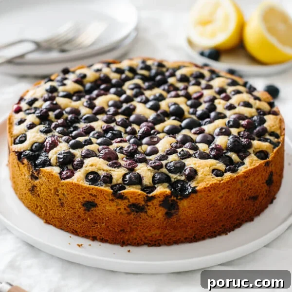 A lemon cake topped with blueberries on a table.