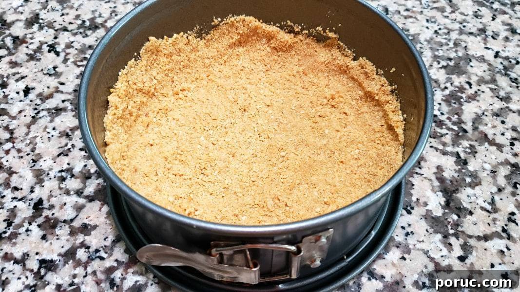 Lemon Blueberry Cheesecake Recipe: Creamy No-Bake Dessert 5 graham crumb mixture pressed into 7 inch springform pan.