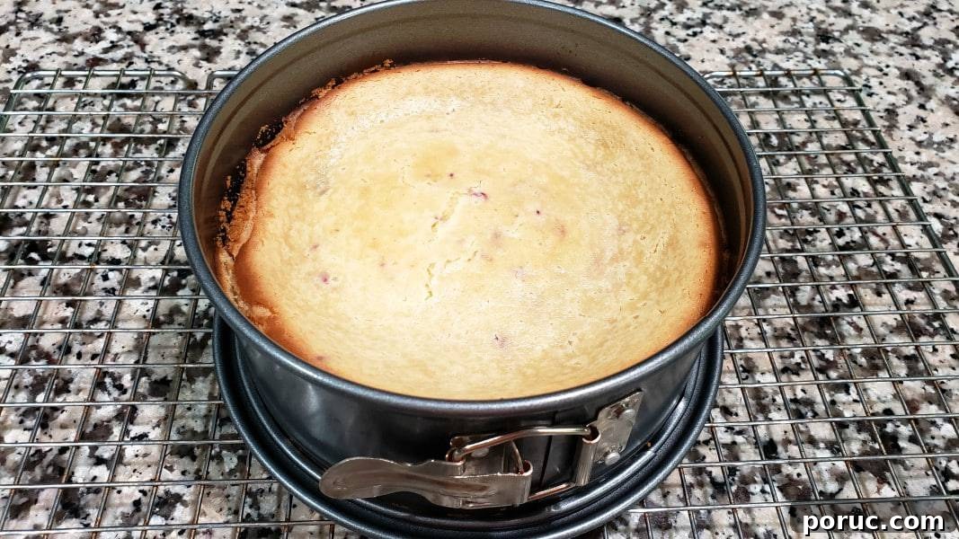 Lemon Blueberry Cheesecake Recipe: Creamy No-Bake Dessert 10 blueberry lemon cheesecake cooling on rack.