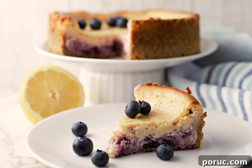Lemon Blueberry Cheesecake Recipe: Creamy No-Bake Dessert 11 a small Blueberry Cheesecake with a hint of lemon.