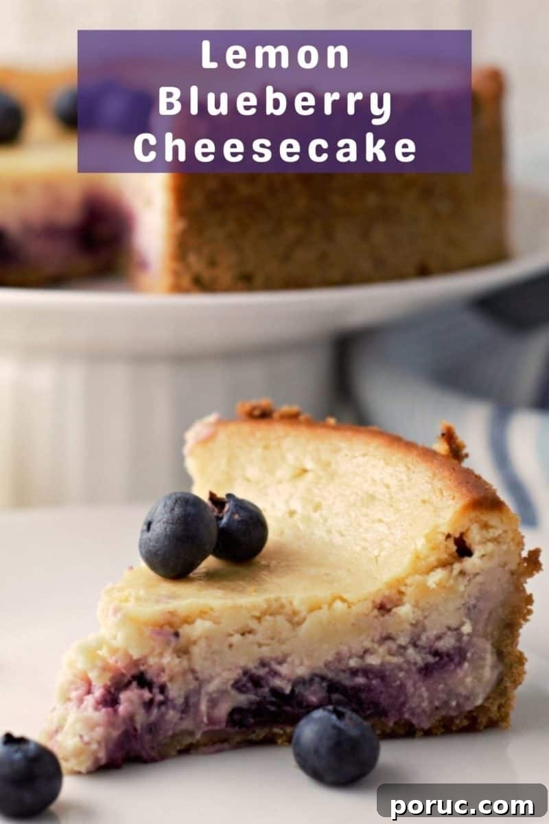 Lemon Blueberry Cheesecake Recipe: Creamy No-Bake Dessert 14 a slice of Lemon Blueberry Cheesecake.