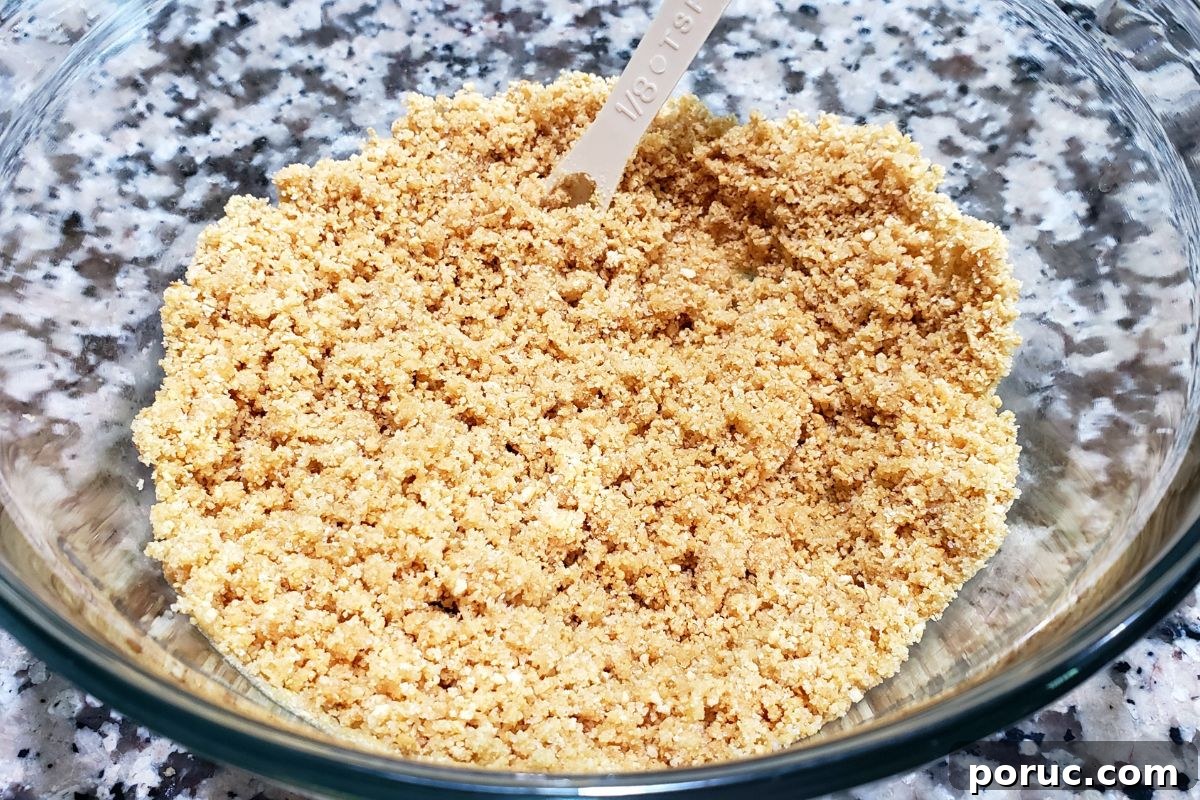 Lemon Blueberry Cheesecake Recipe: Creamy No-Bake Dessert 4 graham cracker crumb mixture in a bowl.